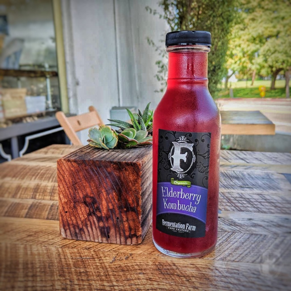 Fermentation Farm Kombucha Label&nbsp;Designs